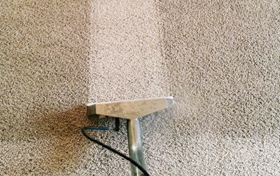What’s Lurking In Your Carpets?
