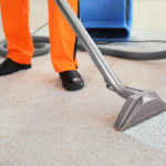 Carpet Cleaning Yarrambat