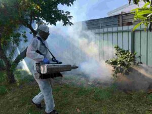 Fogging & Home Disinfection Service